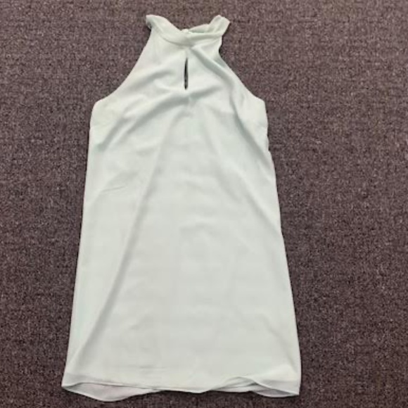 Naked Zebra Mint Green Dress - Picture 1 of 6